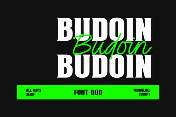 Budoin: A Font Duo That Elevates Design with Elegance and Power