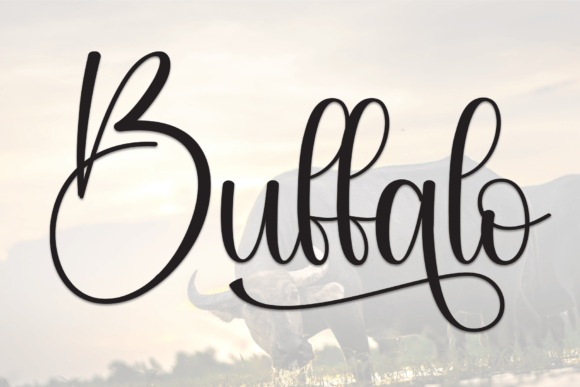 Buffalo: A Versatile Script Font for Elegant Design Projects